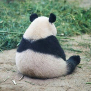 Meet your Posher, Andy